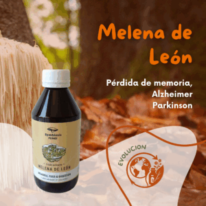 Extracto de Melena de León 250 ml – Hongo medicinal para memoria y digestión