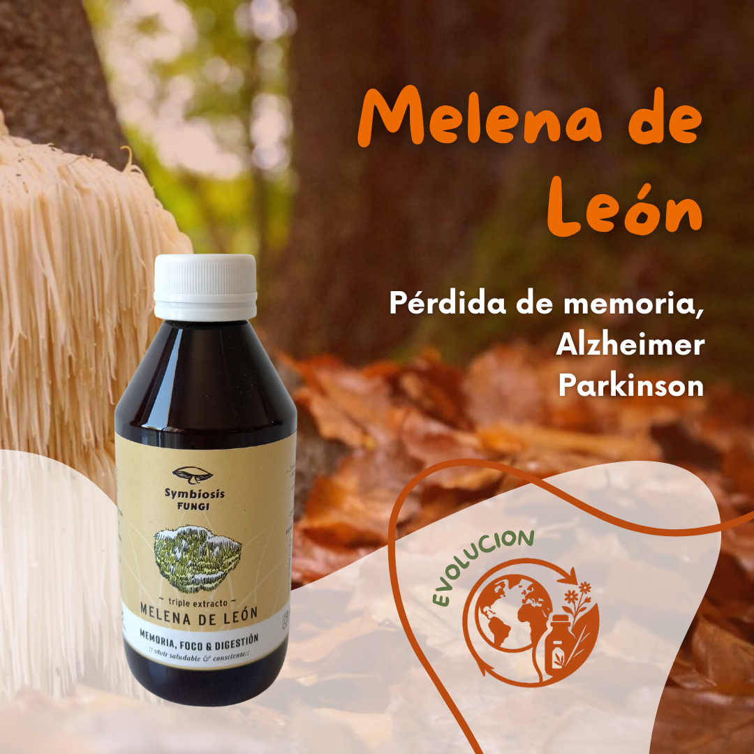 Extracto de Melena de León 250 ml – Hongo medicinal para memoria y digestión