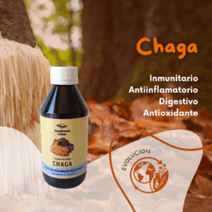 Extracto de Chaga 250 ml – Suplemento natural antioxidante en Neuquén