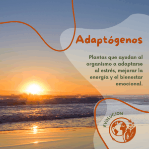 Plantas Adaptógenas y Hierbas Medicinales