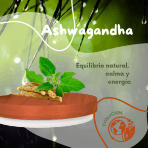Extracto de Ashwagandha 100 ml – Planta adaptógena antiestrés y energizante