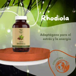 Extracto de Rhodiola 100 ml – Suplemento natural adaptógeno para energía y concentración