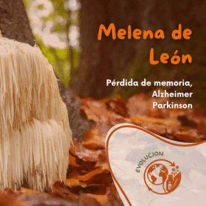 Polvo de Melena de León 80 gr