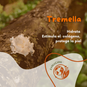 Polvo de Tremella 80 gr – Hongo de la belleza para piel saludable